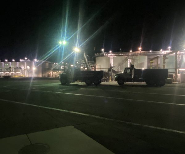 Delivery of grapes early in the morning during harvest.